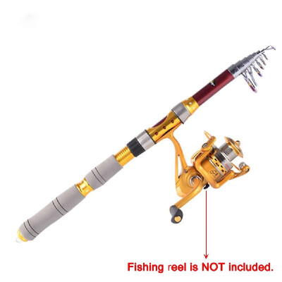 

3m 984FT Portable Telescope Fishing Rod Travel Spinning Fishing Pole