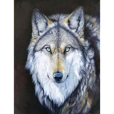 

5D DIY Full Drill Diamond Painting Wolf Animal Cross Stitch Embroidery Kits