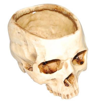 

Resin Human Skull Model Flower Pot Shining Fruit Plate Storage Container