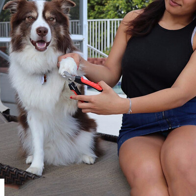 

Pet Professional Nail Clipper Premium Dogs & Cats Nail Trimmer&Clippers