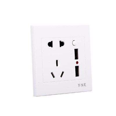 

Electric Outlet with 2 Sockets&2 USB Ports Wall Mount Socket Gold