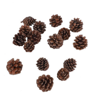 

Greensen 16Pcs Natural Pine Cones Ornament Christmas Party Hanging Decoration