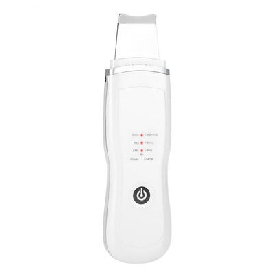 

Greensen Ion Skin Scrubber Ultrasonic Deep Cleansing Face Skin Cleaner Charging Device