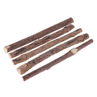 

Cat Cleaning Teeth Molar Sticks Silvervine Actinidia Toothpaste Cat Snacks