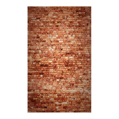

Digital Photography Background Cloth Studio Backdrops Retro Wall Printed