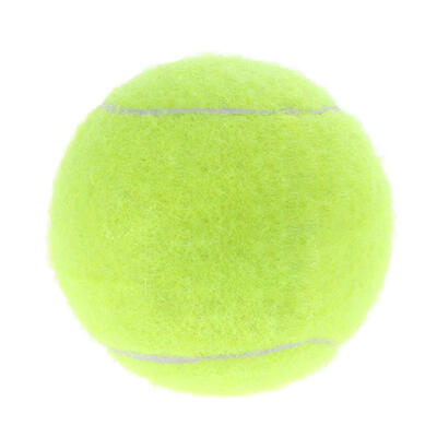 

Tennis Ball Run Fetch Throw Chew Bite Resistant Training Toy for Pet Dog