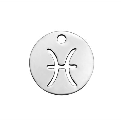 

304 Stainless Steel Charms Flat Round with ConstellationZodiac Sign Stainless Steel Color 12x1mm Hole 1mm