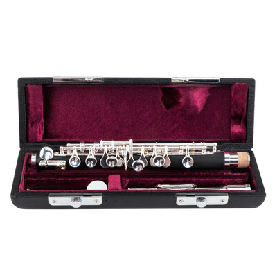

Ktaxon C Piccolo with Lightweight Case Cleaning Rod Cloth Lubricant&Screw Driver - NickelSilver Closed Hole