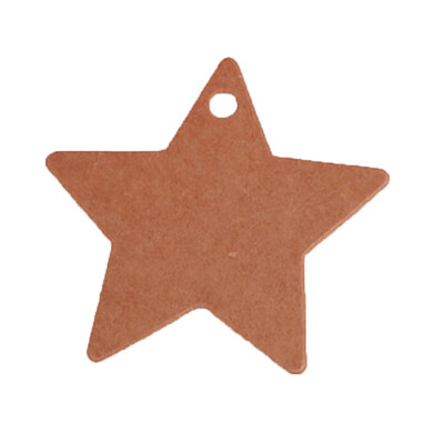 

100pcs Solid Star Shape Label Kraft Paper Blank Hang Tags Christmas Wedding Party Favor Notes Gift Card