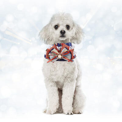 

Greensen Adorable Adjustable Cotton Stylish Lace Bow Tie Pearl Dog Cat Puppy Neckerchief Bandana Scarfs