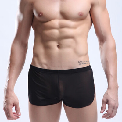 

Tailored Mens Sexy Translucent Underwear Transparent Mesh Comfortable Underpants