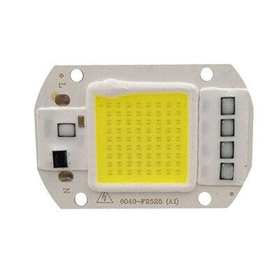 

50W 220V DIY COB LED Chip Bulb Bead for Flood Light