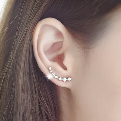 

E774 Korean Jewelry Zircon Heart Crystal Flower Stud Earrings For Women Fashion Double Sides Gold Silver Color Statement Jewelry