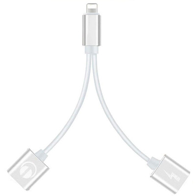 

2-in-1 Adapter Double Headphone Audio Charge for iPhone X88 Plus77 Plus