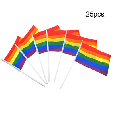 

25pcs 14x21cm Rainbow Flags Polyester Colorful Hanging for Home Decorations