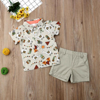 

2PCS Toddler Kids Baby Boy Alpaca Tops T-shirtShorts Pants Outfits Clothes 1-5T