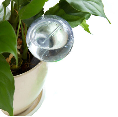 

〖Follure〗Automatic Watering Device Houseplant Plant Pot Bulb Globe Garden House Waterer