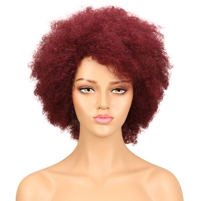 

Noble Afro Kinky Curly Wig Brazilian Human Hair Wigs Remy Non Lace Front Wig Free Shipping