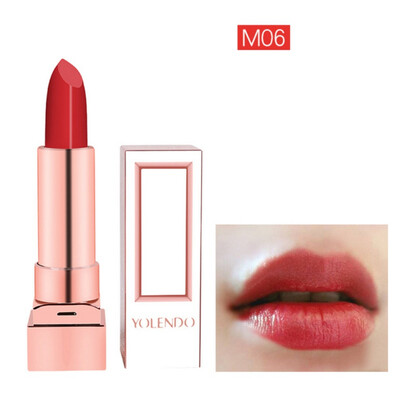 

Sexy Red Matte Velvet Lipsticks Color Cosmetics Pigments Waterproof Long Lasting Moisturizing Lipstick Lips Beauty arrival