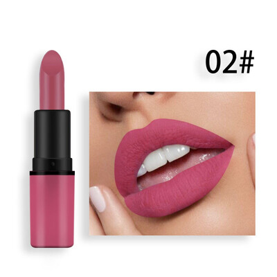 

Lips Makeup Waterproof Long Lasting Pigment Pink Shimmer Lipstick Luxury Makeup