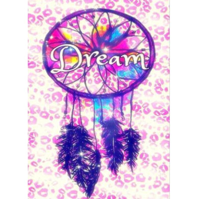 

DIY Diamond Painting embroidery cross stitch dream catcher feather home decor Rhinestone mosaic needlework Canvas size 3040 ful