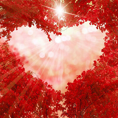 

Toponeto 5D Embroidery Paintings Rhinestone Pasted DIY Diamond Painting Cross Sti