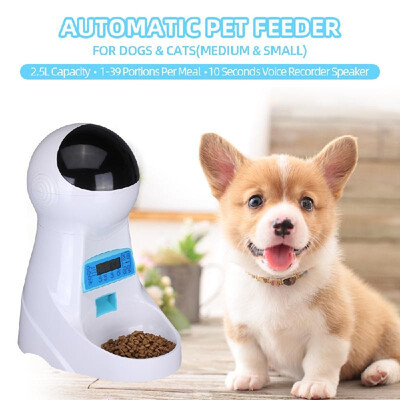 

Automatic Pet Feeder Food Dispenser with Voice Record Remind Timer Programmable Portion Control Distribution Alarm for Small Mediu