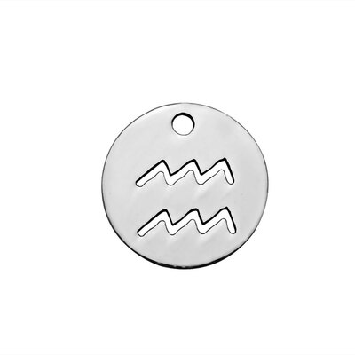 

304 Stainless Steel Charms Flat Round with ConstellationZodiac Sign Stainless Steel Color 12x1mm Hole 1mm