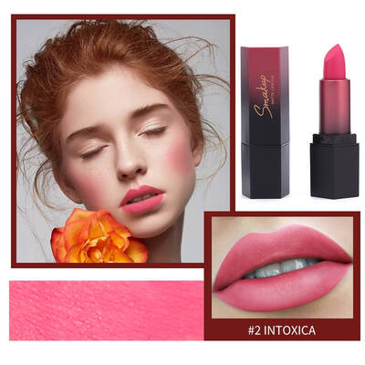 

s Waterproof Matte Velvet Glossy Lip Gloss Lipstick Lip Balm Sexy Red Lip Tint 10 Colors Women Fashion Makeup Gift
