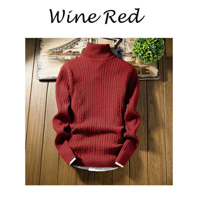

Men Roll Turtle Neck Jumper Wool Blend Knitted Thermal Sweater Pullover Woolwork
