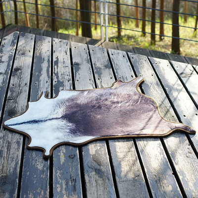 

Toponeto Animal Shape Doormats Indoor Home Carpets Decor Mat Bath Absorbent Pad 55x86CM