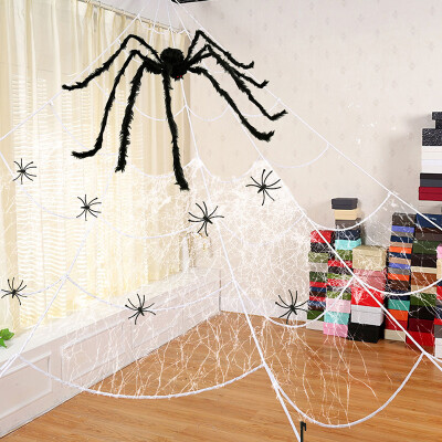 

Halloween Spider Decoration