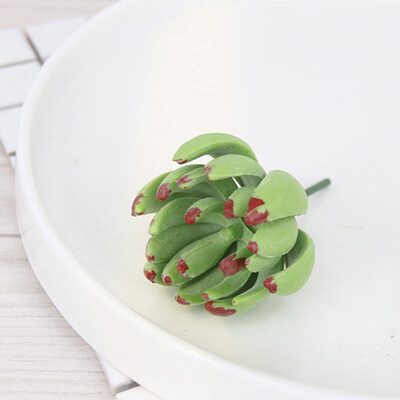 

Artifical Plastic Succulent Plant Cactus Echeveria Flower