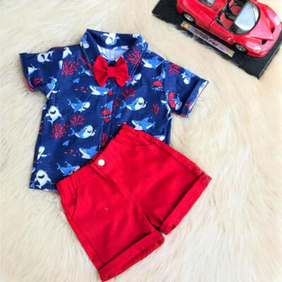 

2pcs Toddler Kids Baby Boy Clothes T-Shirt TopsShorts Pants Formal Outfit Set