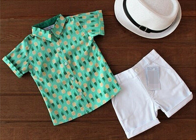 

Toddler Kids Baby Boy Clothes Outfits 2pcs Sets Pineapple Short T-ShirtPants