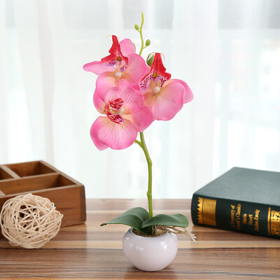 

Moth Orchid Ornament Simulation Bonsai Artificial Flower Potted Plant Home Decor