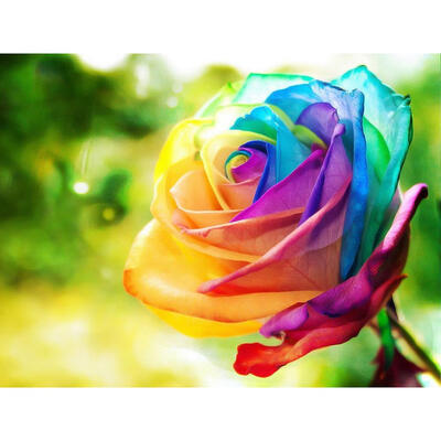 

5D DIY Full Drill Diamond Painting Colorful Rose Cross Stitch Embroidery