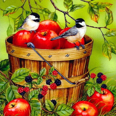 

5D DIY Full Drill Diamond Painting Fruits Birds Cross Stitch Embroidery Kit