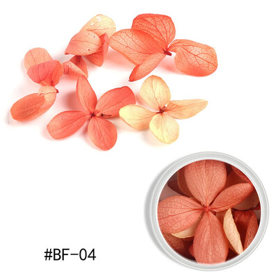 

Toponeto Nail Ornament Dry Flower Color Petals Ziyang Flower Nail Dry Nail DIY Decoration