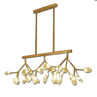 

HL487767 Personality Heracleum LED Chandelier Decorative LED Ambient Light