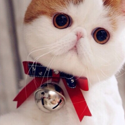 

Pet Fiber Adjustable Collars with Big Bells Bow Tie Necklace for Small Pet Dog &amp Cat