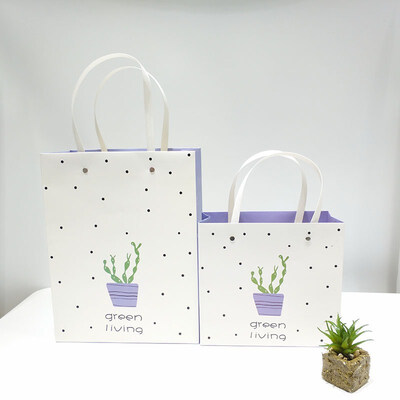 

FUNNYBUNNY Cactus Gift Bag For Holiday-Birthday gift bag-Party