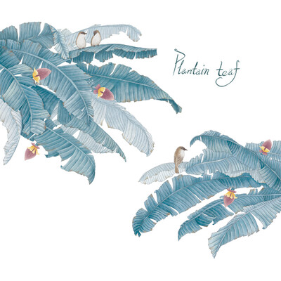 

Waterproof Removable Wall Sticker Leaves Non-fading Non-toxic PVC 12356cm