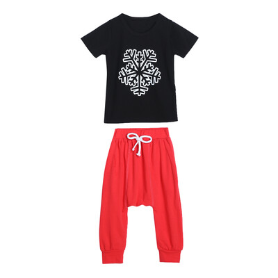 

Toddler Kids Boys Snow Flower Print Tops T-shirt Harem Pants Outfit
