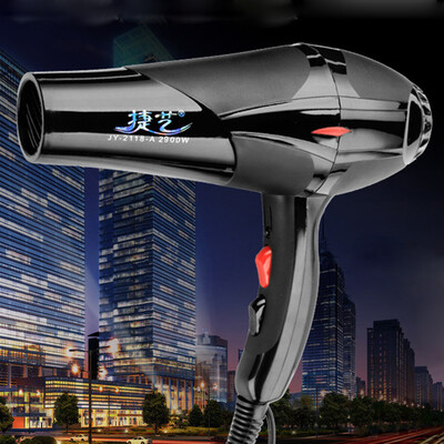 

〖Follure〗2900W Professional Style Black Hot Hair Dryer Pro Salon Ionic Ceramic Blow Dryer