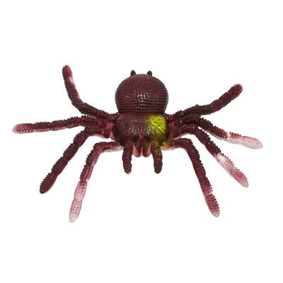 

Tailored Anti-stress Trick Toy Simulation Spider For Kids Party Favor Birthday Gift