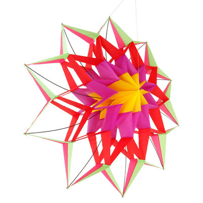 

Ktaxon New 59" Lotus Flower Box Kite 3D Diamond Kite with Flying Tools Outdoor