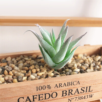 

Artificial Succulent Plant Concise Modern Home Office Table Decoration