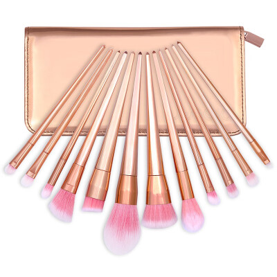 

Diolan Makeup Brushes Set 12pcs Premium Synthetic Powder Foundation Blush Blending Eyeshadow Cosmetics Make up Brushes Set with Ca