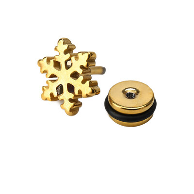

Fashion Stainless Steel Titanium Steel Earrings Snow Ear Stud Black Plate Punk Snowflake Earrings Popular Male Women